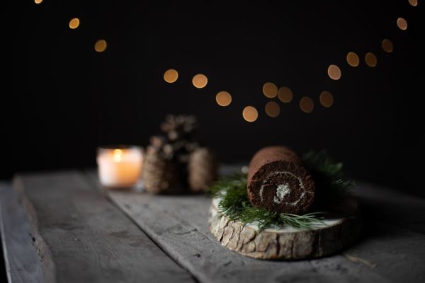 Chocolate Yule Log with Chestnut Cream