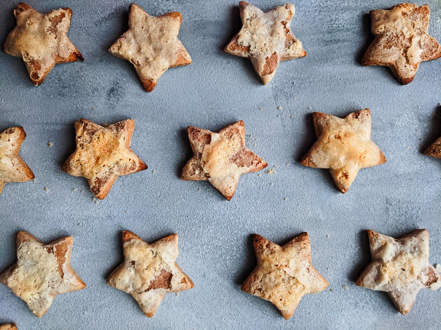 Cinnamon Star Biscuits with Royal Icing