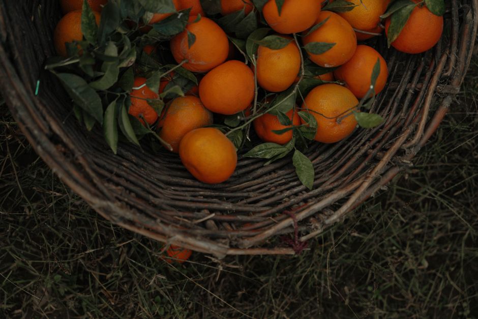 A woven basket filled with fresh oranges and green leaves sitting on grass, perfect for summer harvest themes.