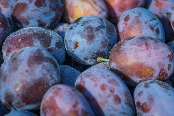 Plum and Blackberry Crumble With a Crisp, Juicy Finish