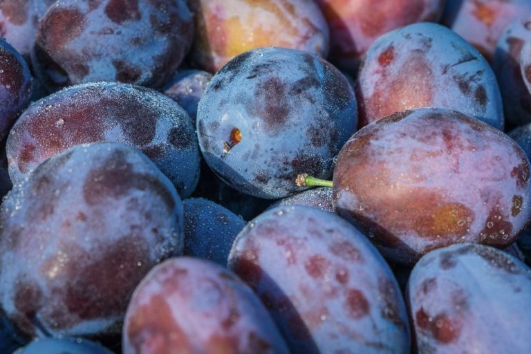 Plum and Blackberry Crumble With a Crisp, Juicy Finish